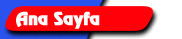 button1